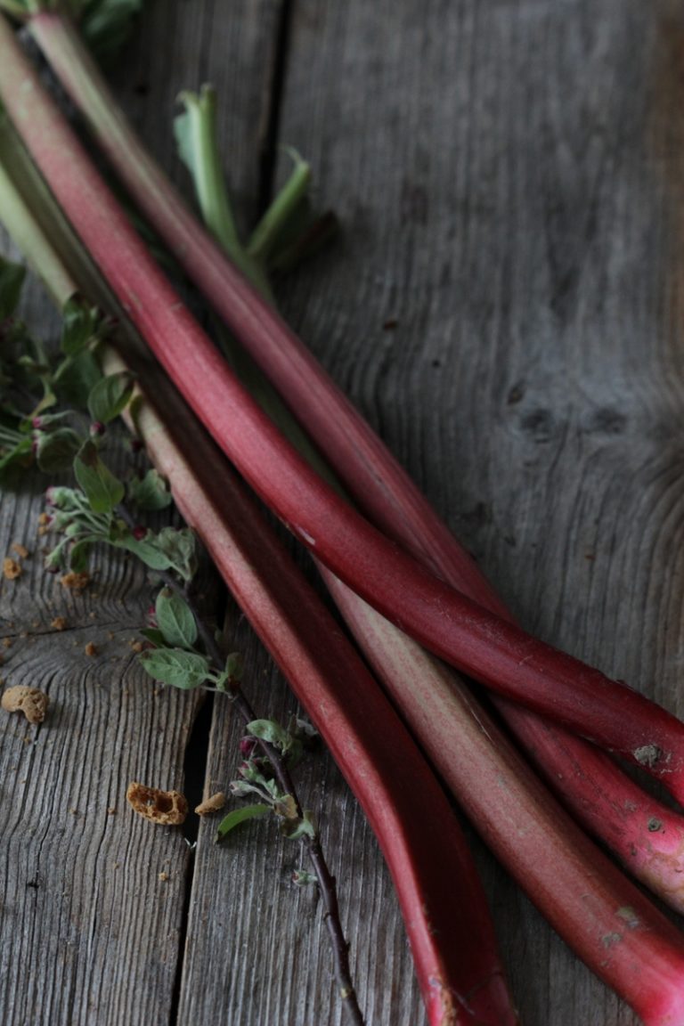 Rhabarberkuchen mit Amarettini – frau v